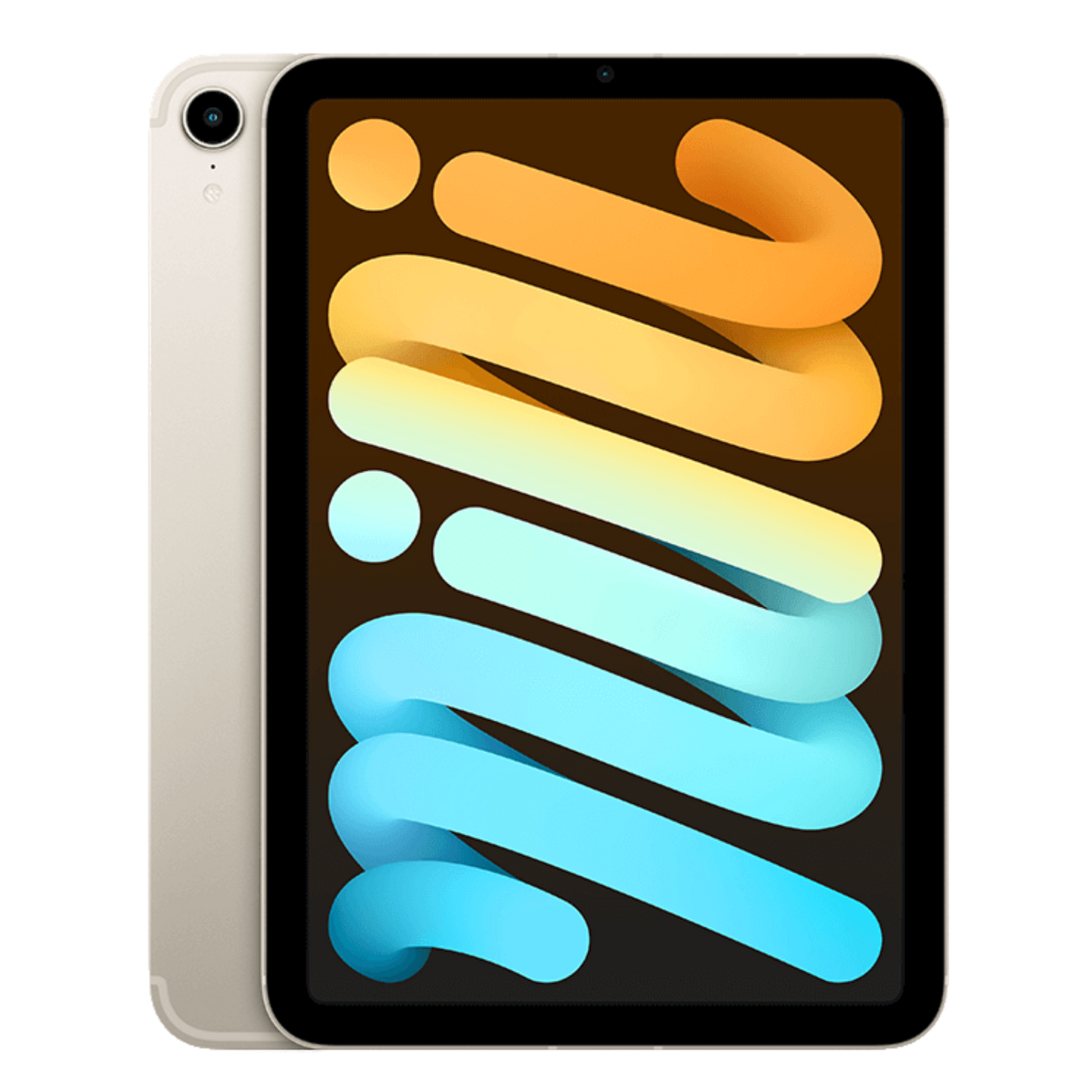iPad Mini - Starlight