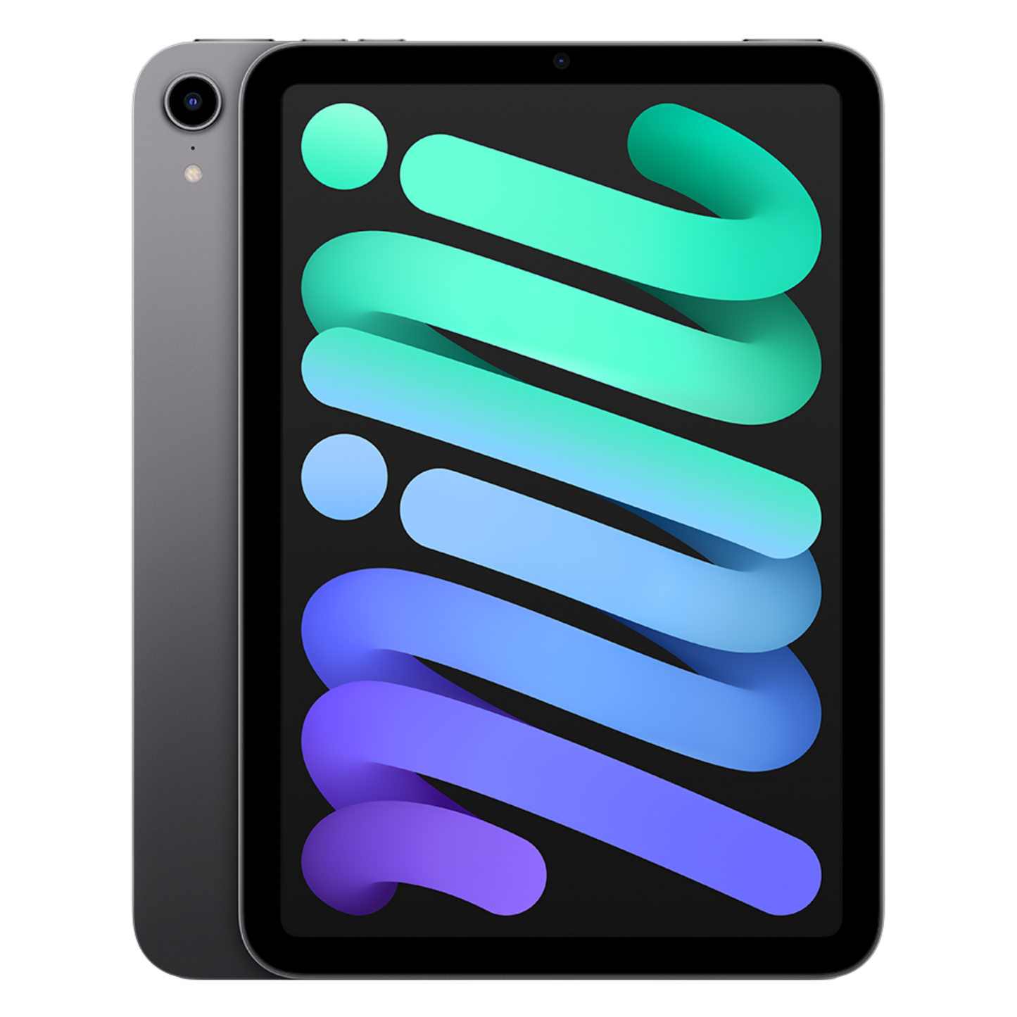 iPad Mini - Space Grey