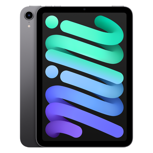 iPad Mini - Space Grey
