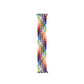 Starlight Aluminum Case with Braided Solo Loop - Pride Edition