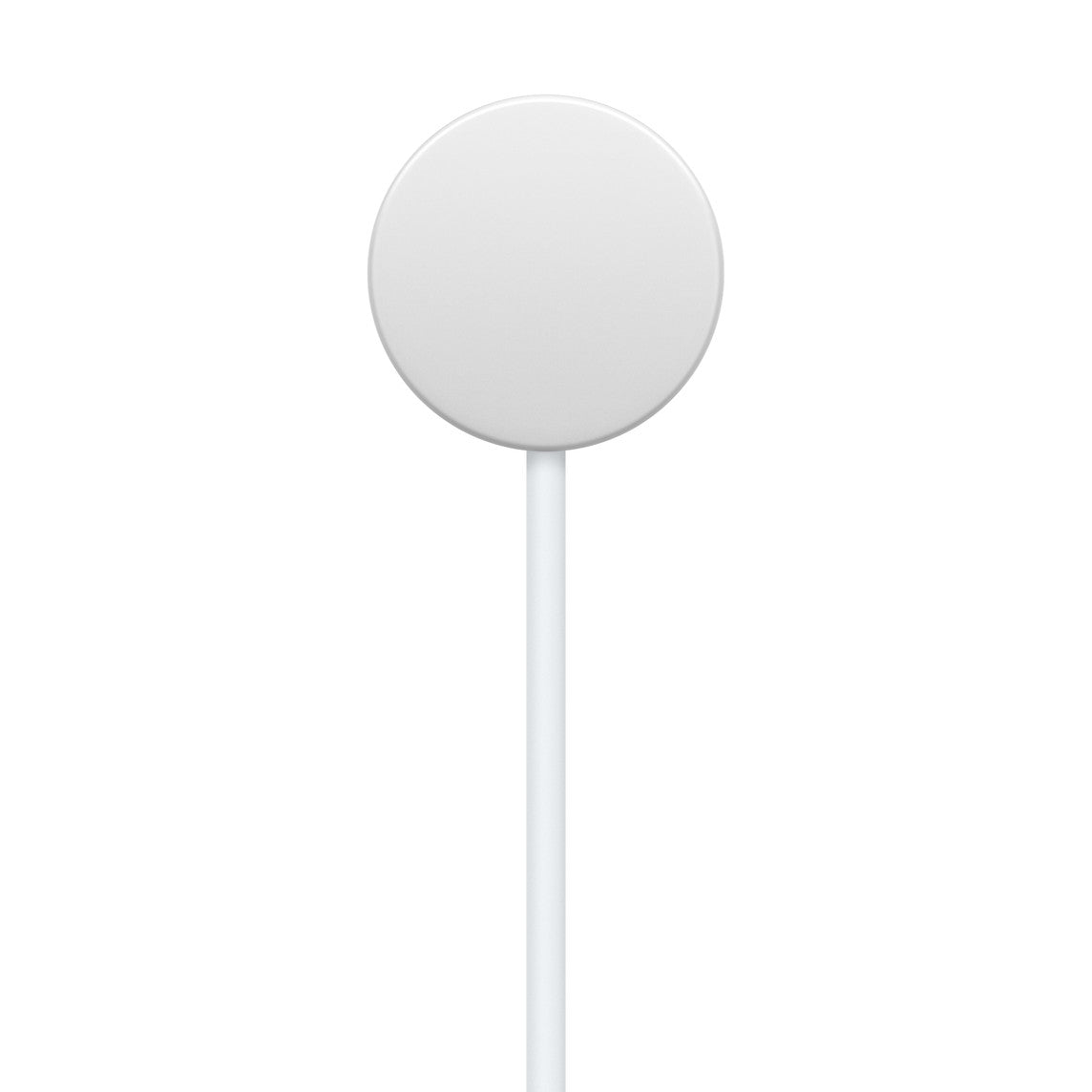 Apple Watch Magnetic Fast Charger to USB-C Cable (1m)