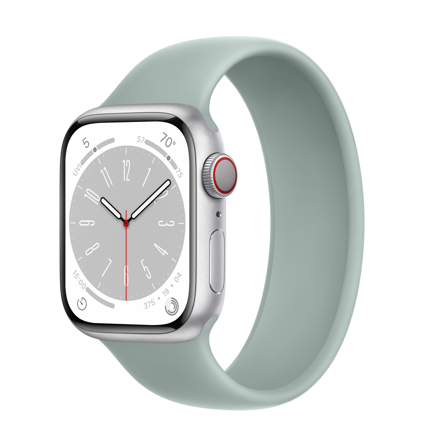 Silver Aluminum Case with Solo Loop - Succulent