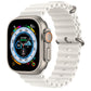 Titanium Case with White Ocean Band