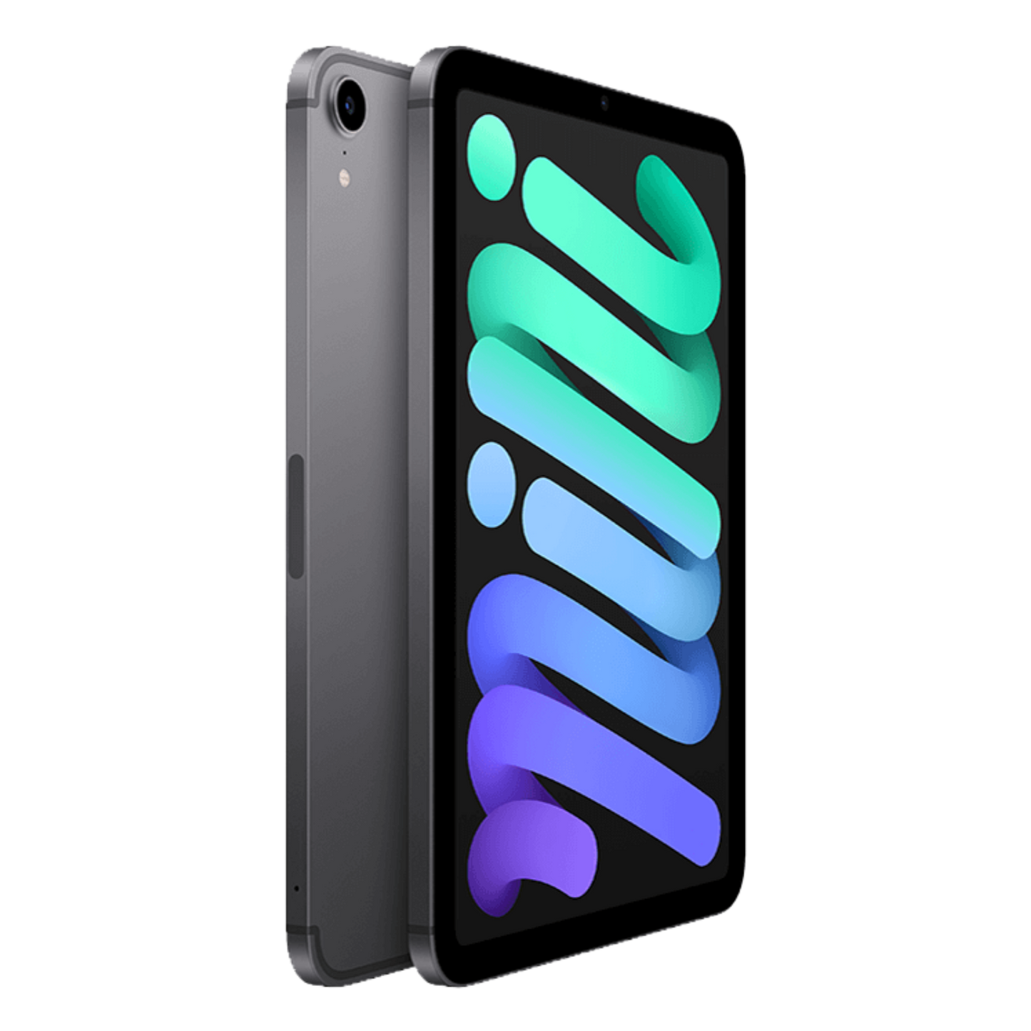 iPad Mini - Space Grey